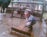 Familien- und Gruppenherberge im alten Hof - Vogelsberg - Bauernhof erleben Familien- und Gruppenherberge im alten Hof - Vogelsberg - Bauernhof erleben