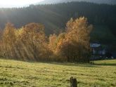 Herbst