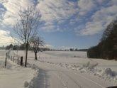 Winterlandschaft