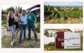 Weinbau & Ferienwohnung Weingärtner Weinbau & Ferienwohnung Weingärtner