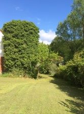 Ferienhaus Wiesenfeld/Burgwald Ferienhaus Wiesenfeld/Burgwald