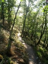 Ferienwohnung Greiff Ferienwohnung Greiff