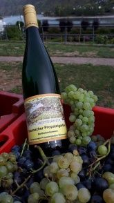 Ferienwohnung Hilde Ferienwohnung Hilde