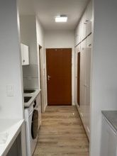 Apartment 33 Apartment 33