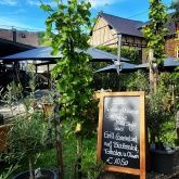 Weingut & Straußwirtschaft Comes Weingut & Straußwirtschaft Comes