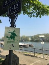 Haus Mittelrhein Haus Mittelrhein