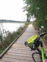 Schwenninger Moor Schwenninger Moor