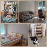 Weingut, Gästezimmer und Ferienwohnung Jörg Thul