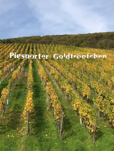 Ferienwohnung Moseldiamant