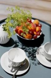 Barrierefreie Ferienwohnungen am Wasserturm Landau - Südpfalz