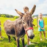 Camping und Ferienpark Orsingen