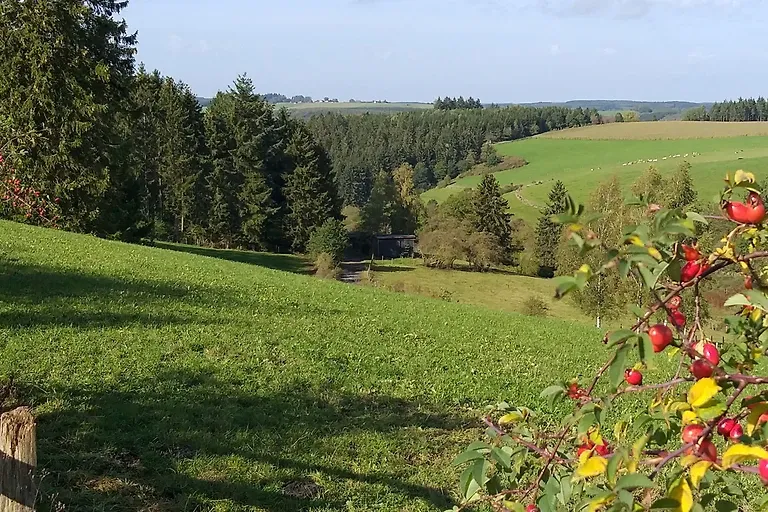 Appartement Eichhörnchen im Haus Eifelstein