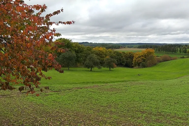 Appartement Eichhörnchen im Haus Eifelstein