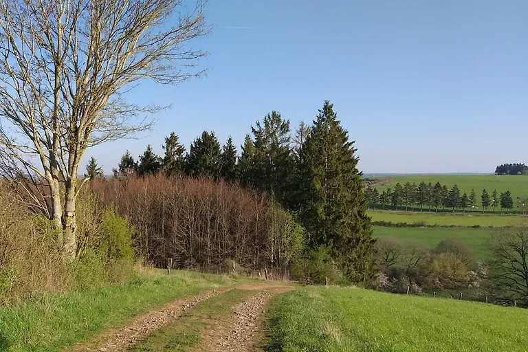 Appartement Eichhörnchen im Haus Eifelstein