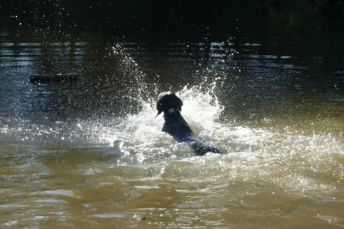  Ferienhaus Wibbecke Westerwald