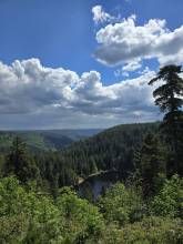 Ferienwohnung Schwarzwaldsteig