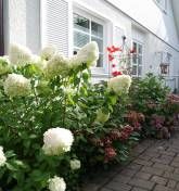 Landhaus SoonZauber - Charmantes Ferienhaus mit moderner Ausstattung