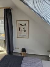 Landhaus SoonZauber - Charmantes Ferienhaus mit moderner Ausstattung