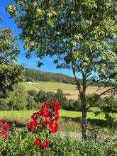 NETTEN Naturerlebnis Holz-Chalets