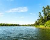 Ferienwohnung Rothenbusch