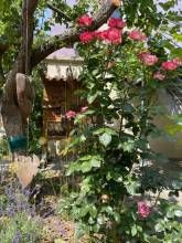 Boutique-Guesthouse Jugendstil-Hof