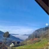 Pension Bäuerle Hof