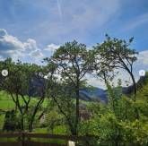 Pension Bäuerle Hof