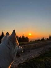 Ferienwohnung Tannenduft