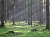 Ferienwohnung Mitten in der Natur