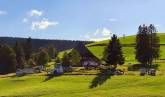 Campingplatz Zum wilden Michel