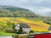 Gästehaus Weinbergs-Loge