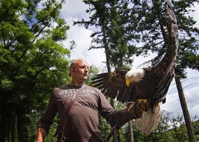 Greifvogelpark Saarburg - Greifvögel hautnah erleben!