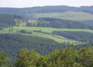 Gästehaus Gilsbach im Wald - Ferienhaus Villa Forest