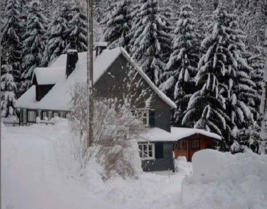 Gästehaus Gilsbach im Wald - Ferienhaus Villa Forest
