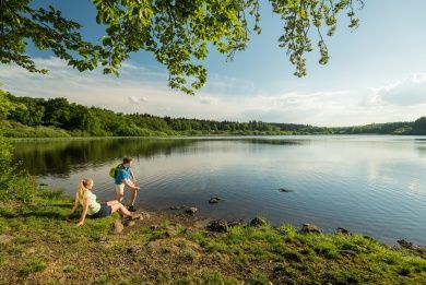 Westerwälder Seenplatte - Dreifelder Weiher