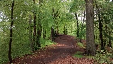 Naturpark Arnsberger Wald