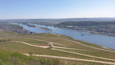 Das Rheintal bei Rüdesheim