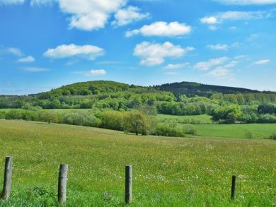 Der Vogelsberg ist einst durch Vulkanismus entstanden.