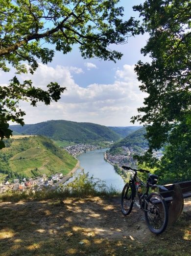 Blick auf Mosel