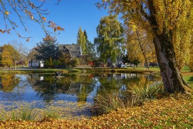 Ein Weiher im Herbst