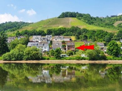 Fewo Pellio-Mayer Zell an der Mosel Fewo Pellio-Mayer Zell an der Mosel