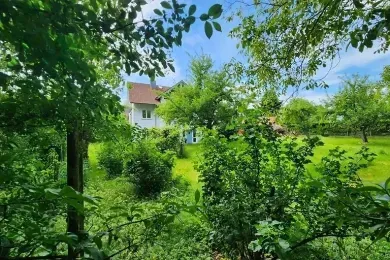 Im Grünen (kleine FeWo in Eriskirch)