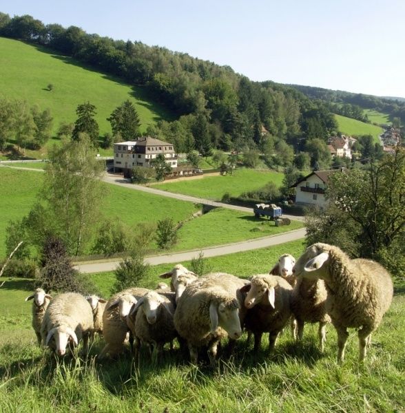 Umgebung 
