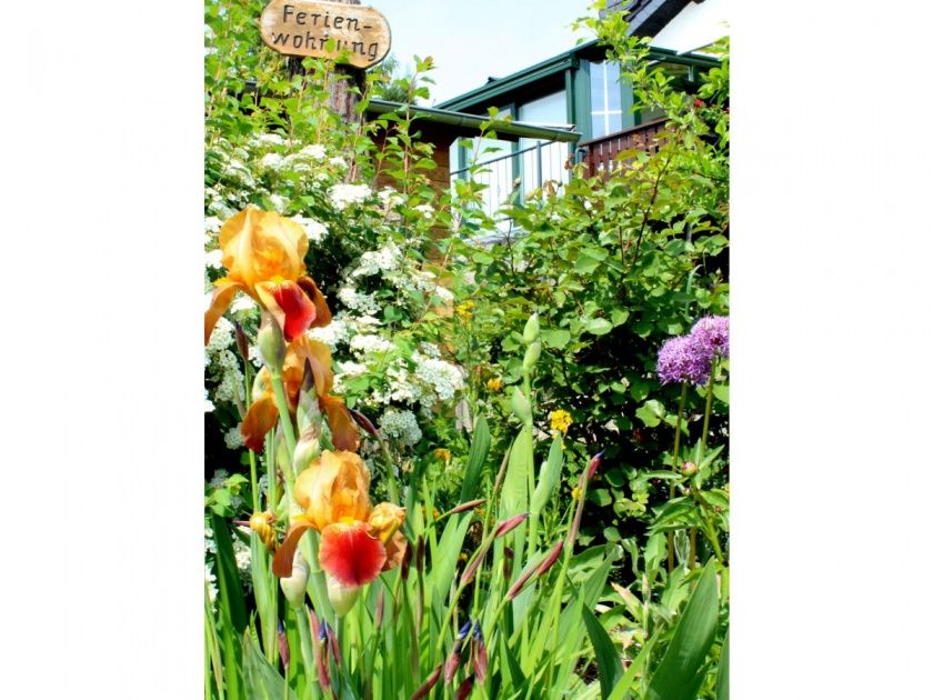 Parterre-Wohnung der Ferienwohnungen Schabbach