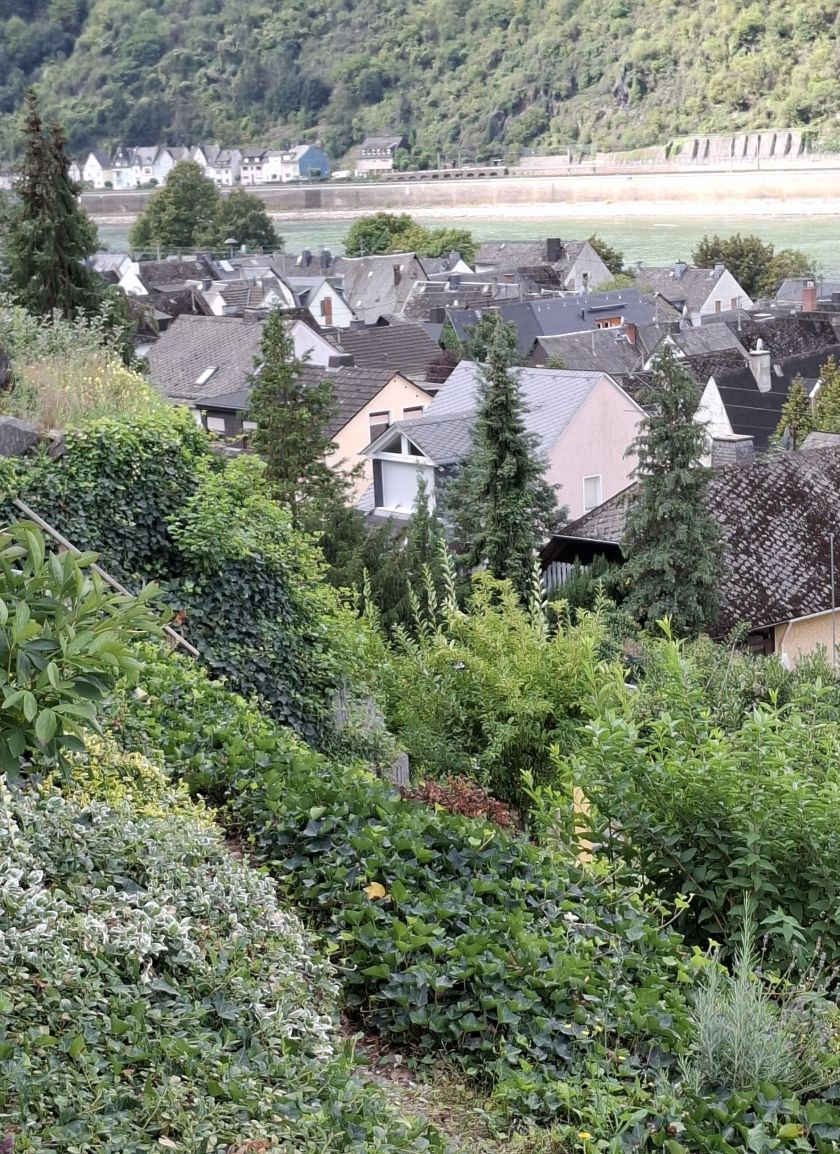 Blick über Kestert
