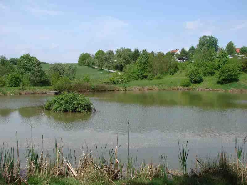 Baumpalast Baumhaushotel Rosenberg