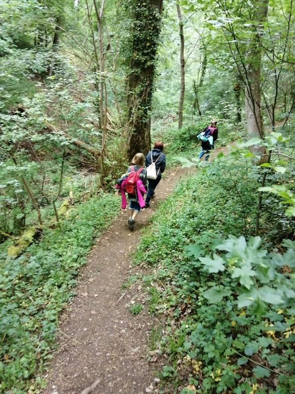 Ferienwohnungen Waldmann