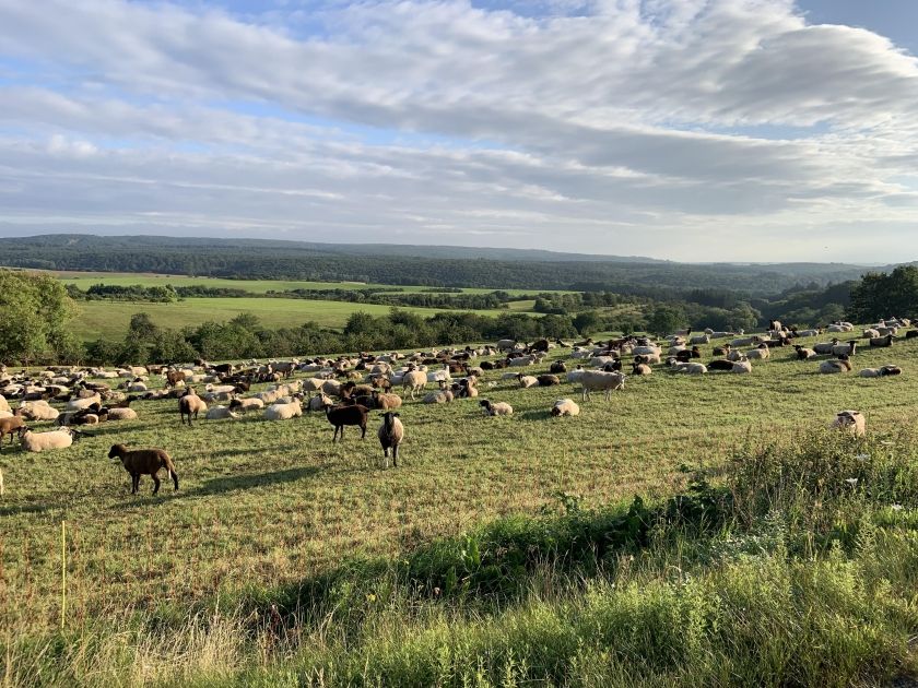 Ferienhaus am Häferbach