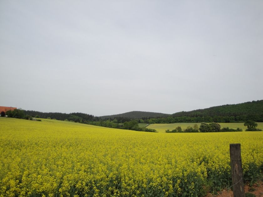 Campingplatz Ochsenbusch Park