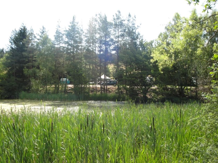 Campingplatz Ochsenbusch Park